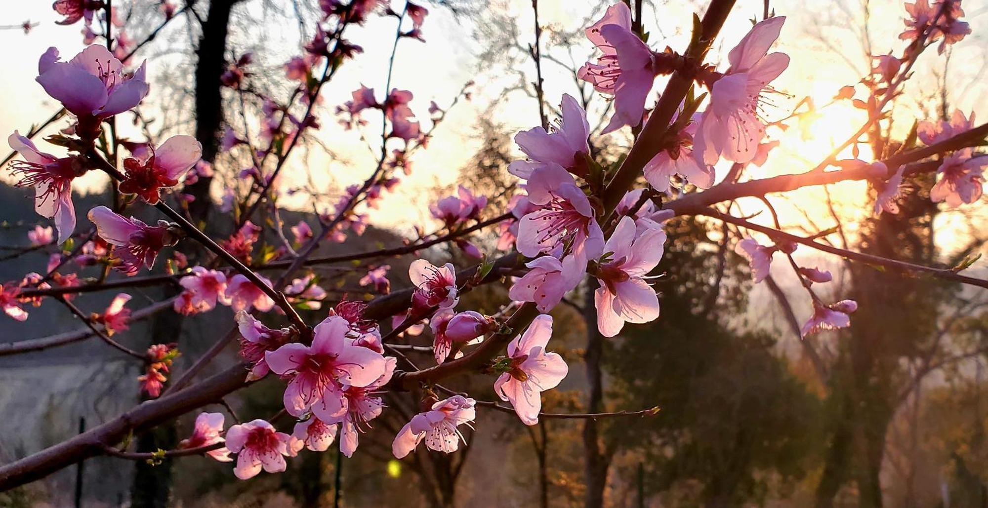 바르베리노 디 발 델사 La Volpaia 1521 빌라 외부 사진